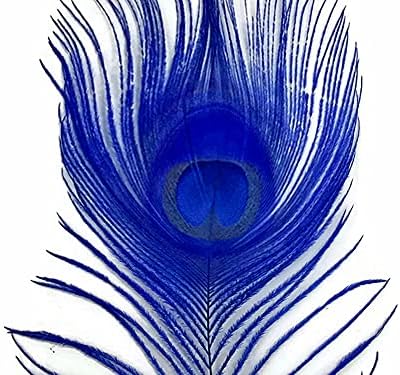 5 Db – Royal Kék Fehérített & Festett Páva Farka Szem Tollak 10-12 Long Halloween Kézműves | Kínálat Holdfény Toll